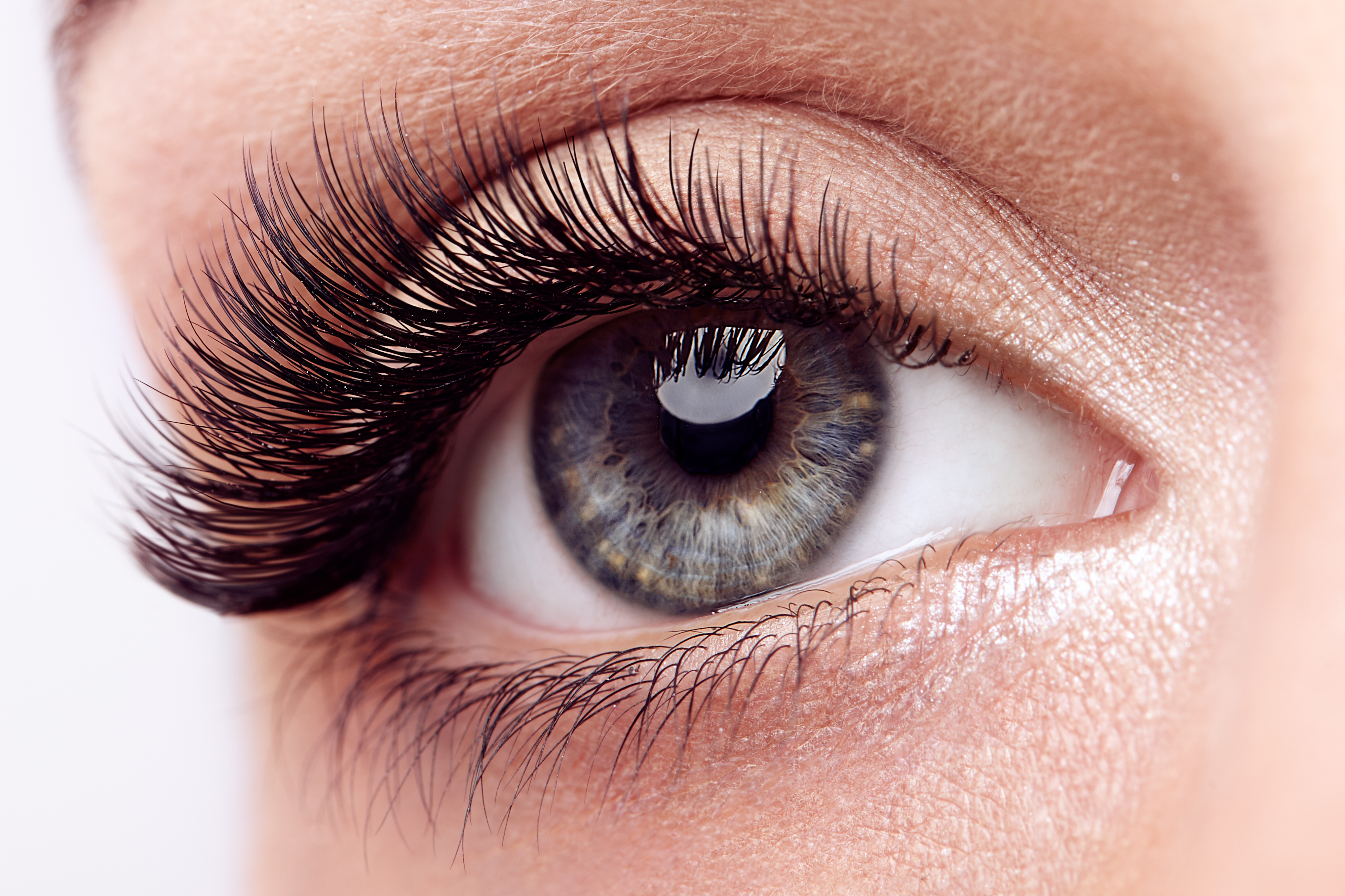 Lashes and Brow Services